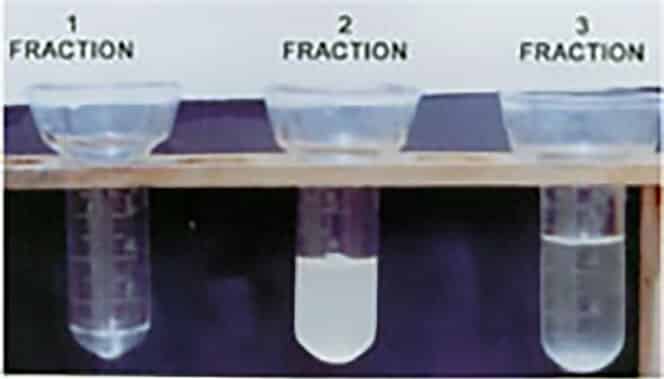 canine semen analysis