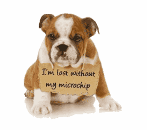 Pet Microchipping