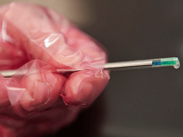 artificial insemination for dogs