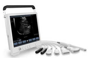 Pregnancy scanning for dogs