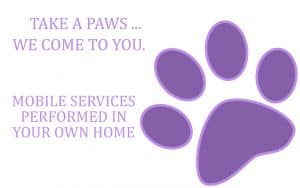 mobile dog pregnancy scanning manchester, mobile pet scanning, K9 pregnancy scan, dog pregnancy scanning,